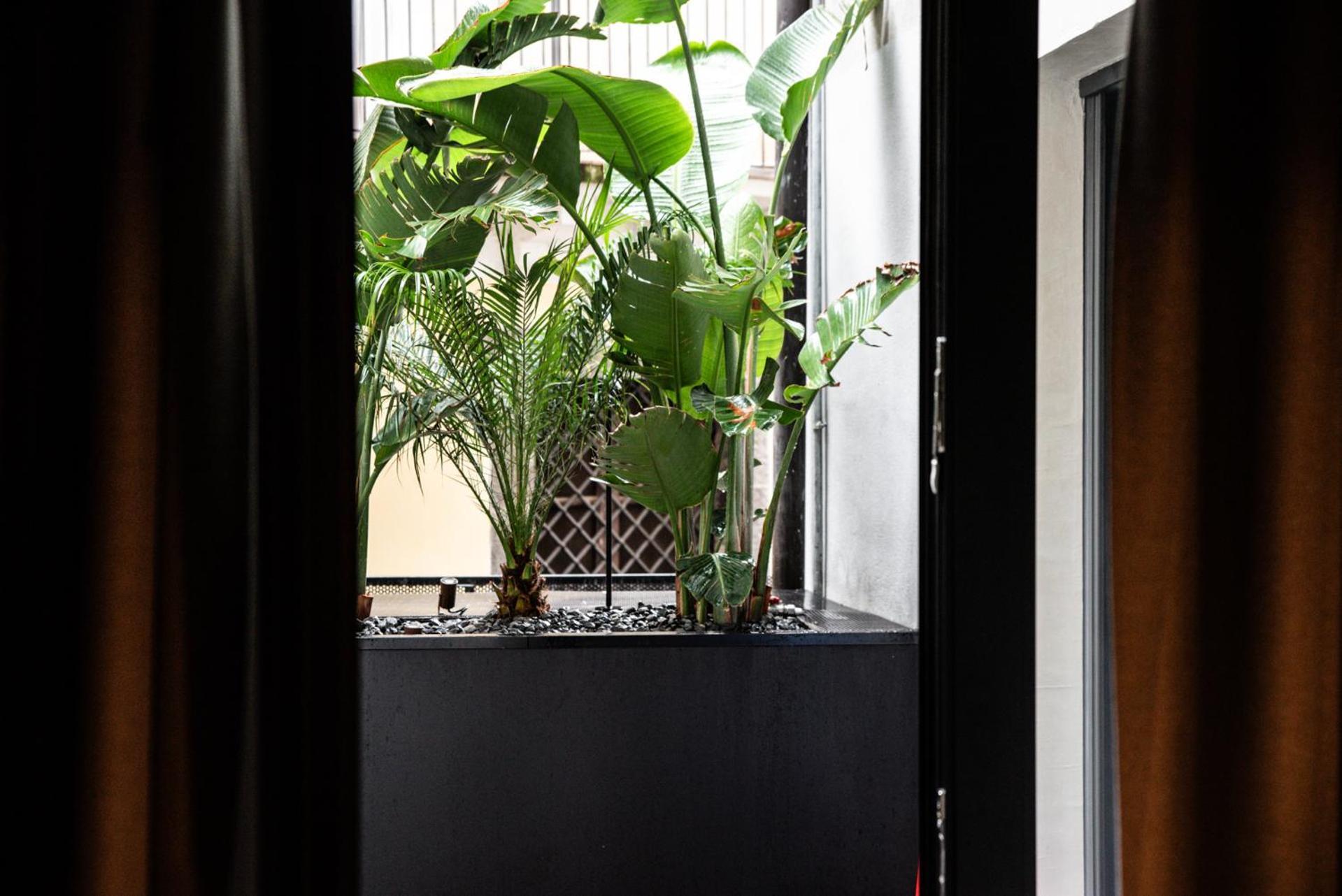 Terme Di Bacco - Design Apartaments And Spa คาตาเนีย ภายนอก รูปภาพ
